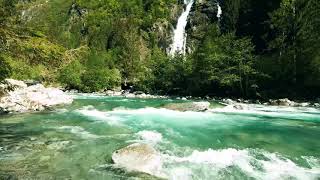 Download Lagu RELAXING MUSIC / MUSIK RELAKSASI SUASANA ALAM MP3