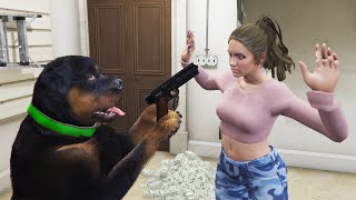 Chop Robbing Lucia From Gta 6 In Gta 5