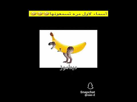 اسماء اول مره تسمعها