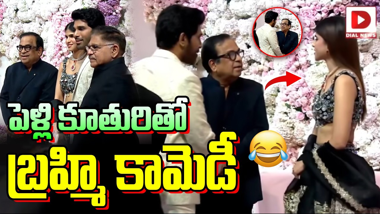 Brahmanandam Visuals @ Allu Sirish & Nayanika Pre Wedding Reception   Dial Telugu
