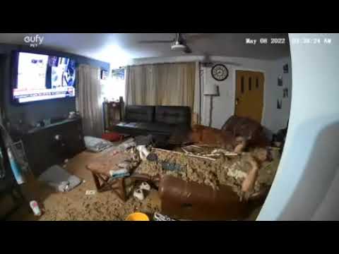 Ceiling Falls In On Man Watching TV