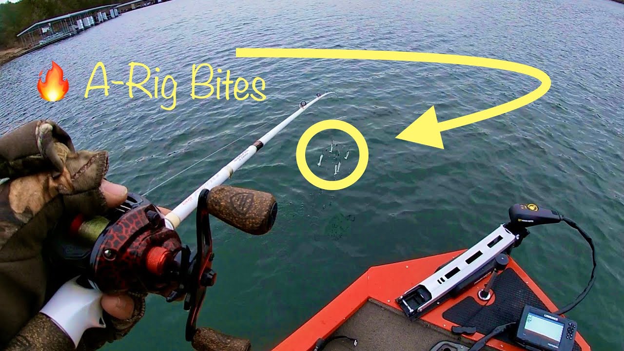 ALABAMA RIG BASS FISHING (TOUR of the NEW HOUSE) - YouTube