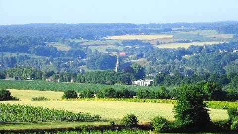 Zomerpracht in het Limburgs Heuvelland!