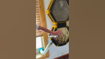 Innovatieve 3D-geprinte bijenkorf @BryanMarkTaylor