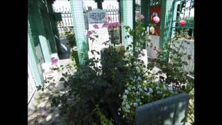 Sami Savni - Ateşi Aşkınla Yandır