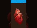 using HTML CSS and JavaScript making a human ❤️✨ #coding #shorts #programming #ytshorts#attitude😈🔥
