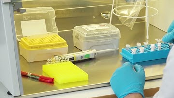 Episode 11 - "Preparing the Master Mix for PCR 2"