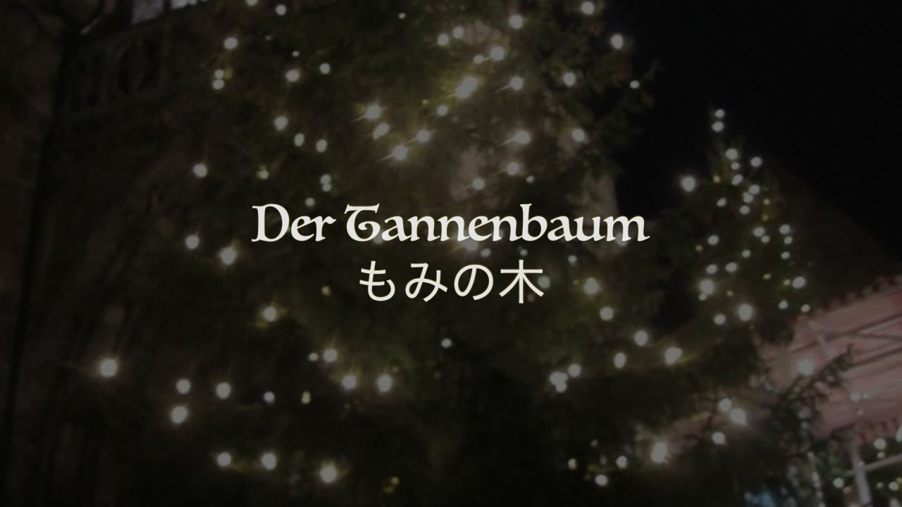 もみ の 木 ドイツ 語