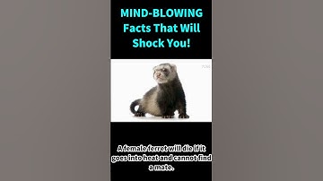 Easy trivia that 90% of adults fail 😳 #shorts #canyou #brainteaser