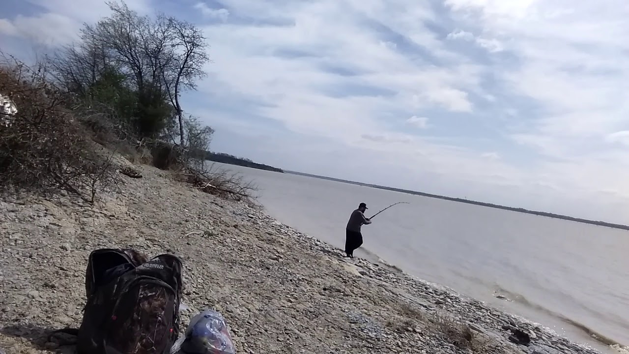 First catfish of the day 25.9lbs lake lavon YouTube