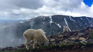 Quandry Peak  - Colorado 14er Dayhike