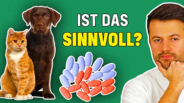 Wie kann ich meinem Hund Vitamine geben?