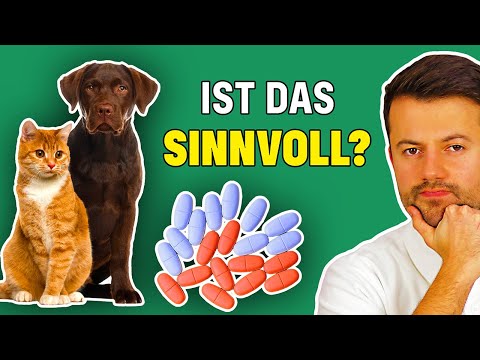 Video: Beste natürliche Multivitamine für Hunde