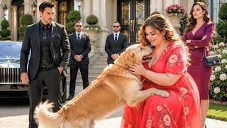 The Mafia Boss Accused the Plus Size Dog Walker of Theft    Then His Dog Chose Her
