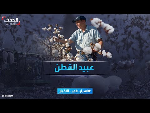 أسرار في الأخبار إنتاج القطن ممارسات غير شرعية تذكر بأيام العبودية