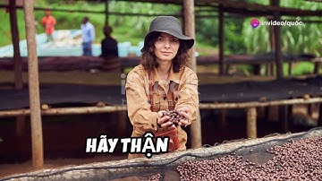 Kỹ Năng Sinh Tồn Khi Bị Lạc Trong Rừng