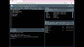 RStudio Server   Chrome 2024 08 28 10 52 40