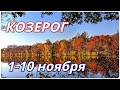 КОЗЕРОГ,  ТАРО ПРОГНОЗ НА 1-10 НОЯБРЯ 2020 🍁