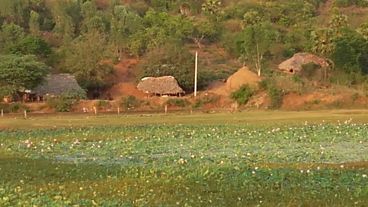 Fresh morning at village area