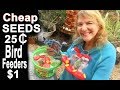 Garden Finds $1 Store Seeds Hummingbird Feeders Container Gardening Dollar Tree Video