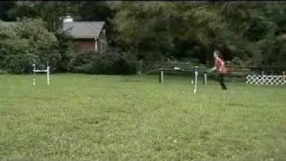 20090912 Moxie Stride Counting