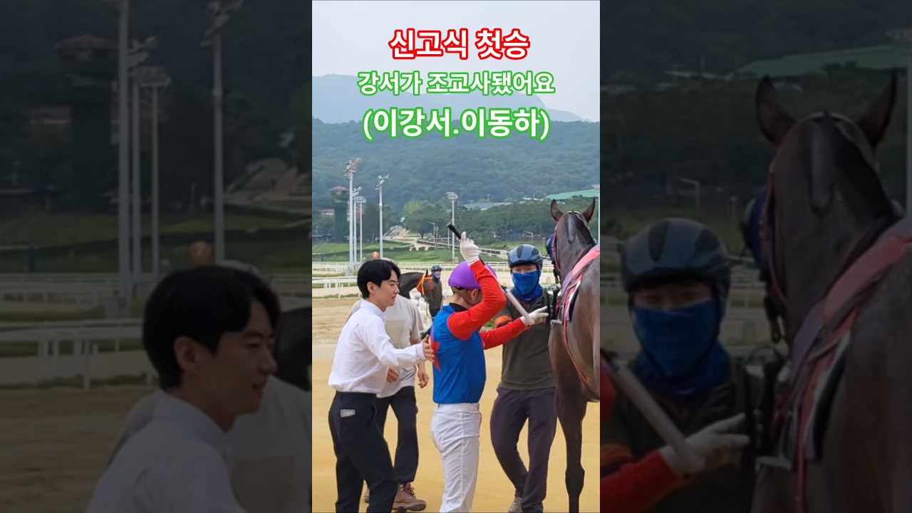 코뚫었으니 승승장구 #경마 #말 #달려라말 #shorts