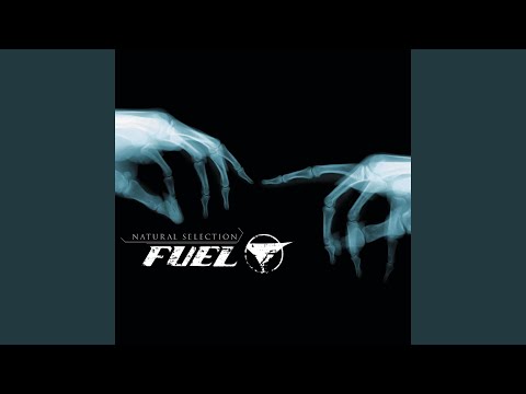 Million Miles - Fuel