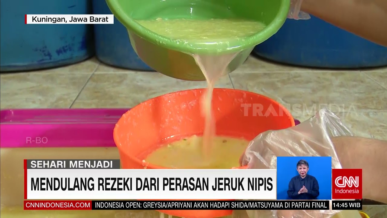 Sehari Menjadi Pengusaha Jaruk Nipis PEras | REDAKSI (28/11/21)