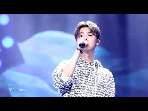 【朝鹿FORLUHAN】161119 某时某刻 明星 娱乐 bilibili 哔哩哔哩弹幕视频网