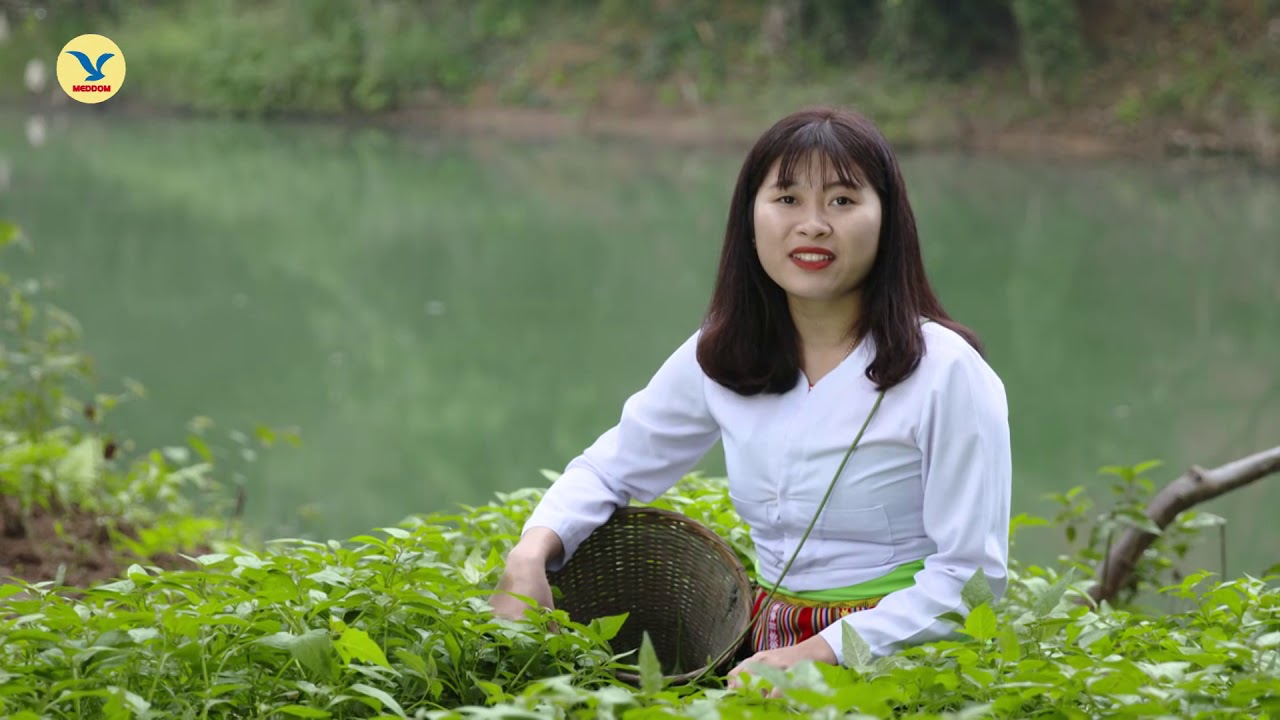 Lẩu rau rừng - Bạn đã thử chưa? - YouTube