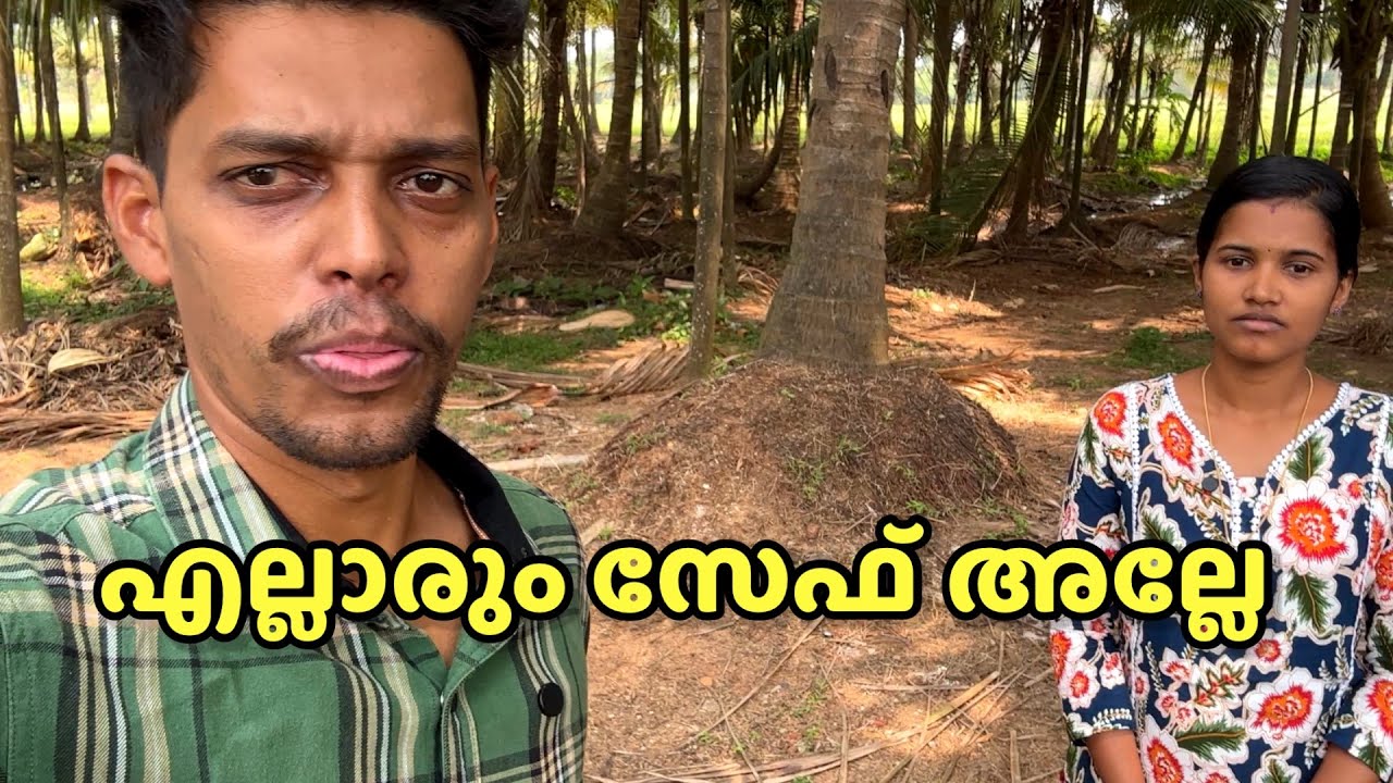 എല്ലാരും ok ആണെന്ന് കരുതുന്നു 😌#vlogs #vlog #dailyvlog #dayinmylife 