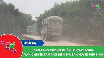 Cần tăng cường quản lý hoạt động vận chuyển lâm sản trên địa bàn huyện Phú Bình | Thái Nguyên TV