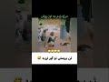 ویدیوی خنده دار تن بروسلی تو خاک لرزید ویدیوی خنده دار تن بروسلی تو خاک لرزید
