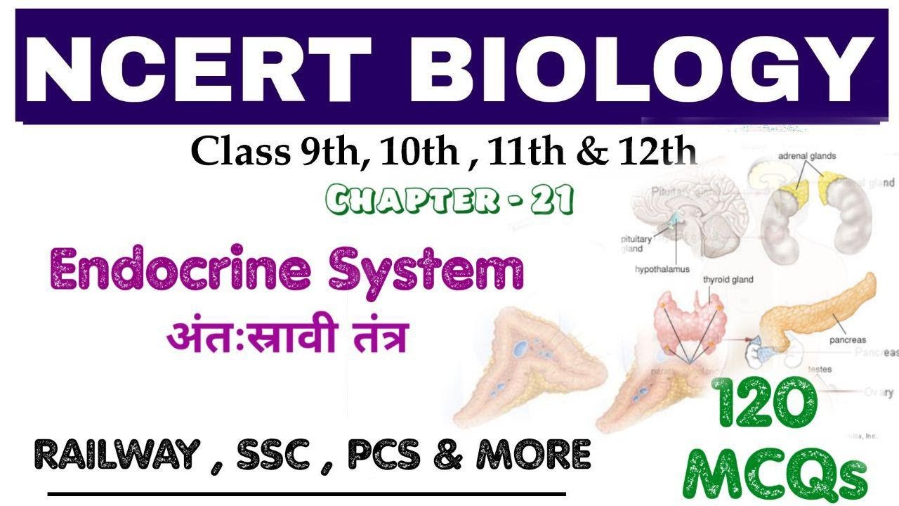 NCERT BIOLOGY : Endocrine System / अन्तःस्रावी तंत्र || 120 MCQs || Bilingual || RLY | SSC | PCS |