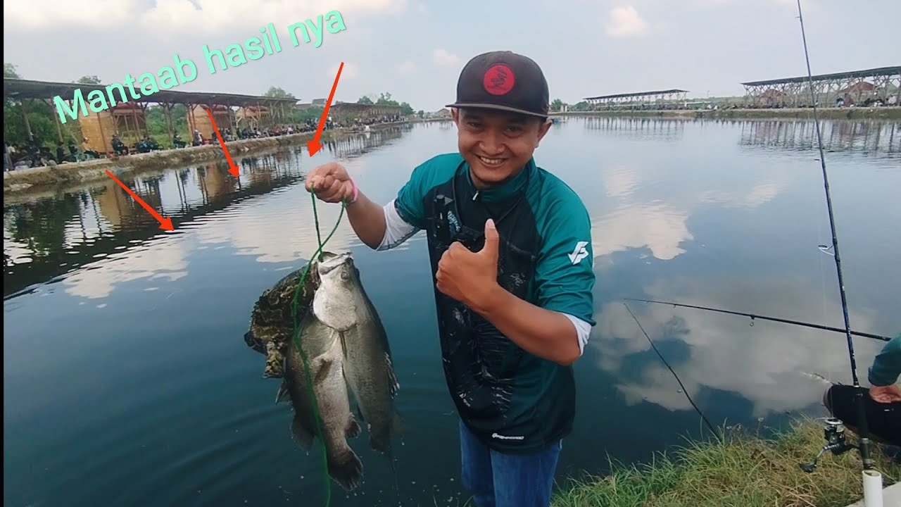 Mancing lagi si akap pu patimban subang !!! Tiket 500k
