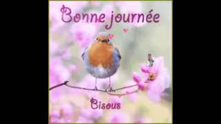 Bonjour (Gif)