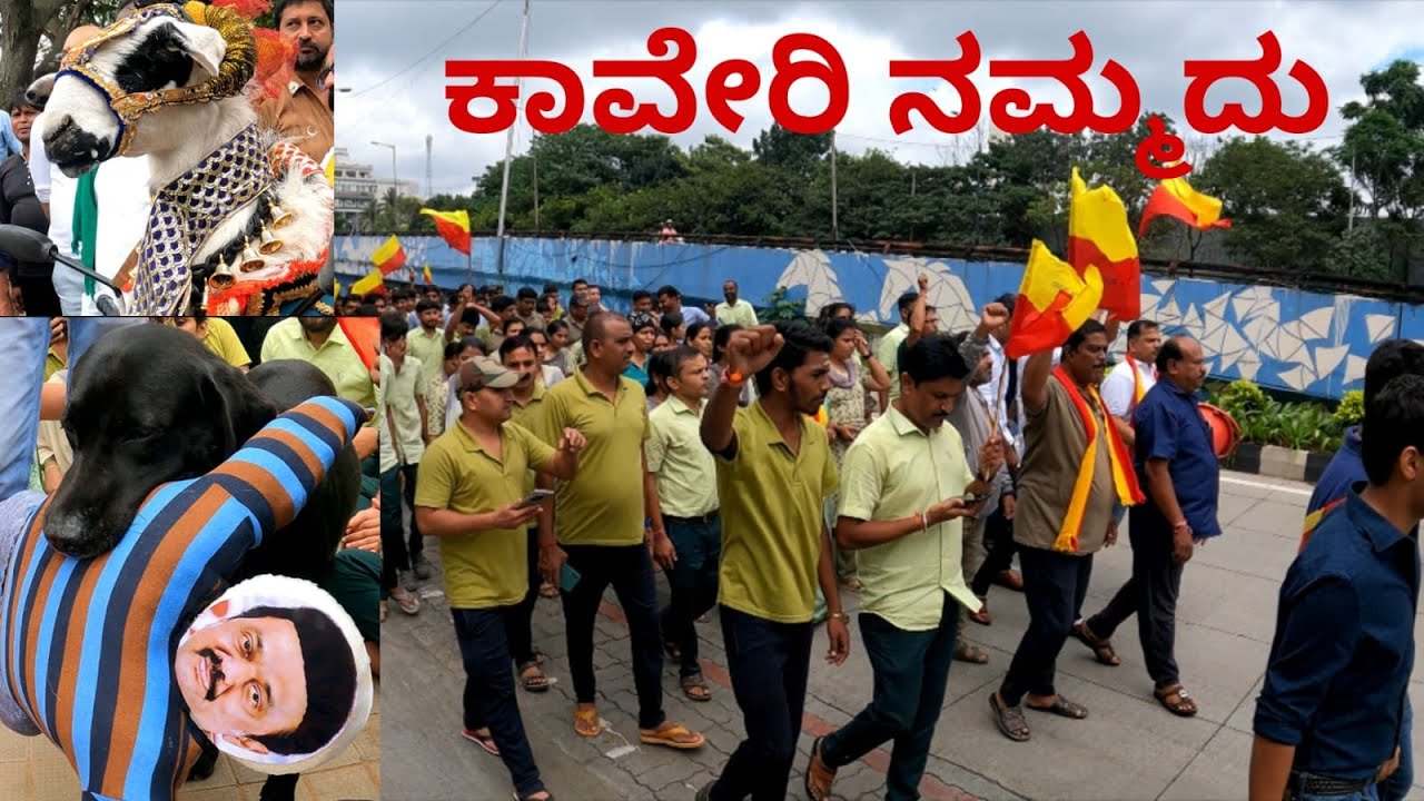 SUPPORT FOR KAVERI PROTEST || VIJAY GEMS AND JEWELLERY KAVERI PROTEST ||ಕಾವೇರಿ ನಮ್ಮದು