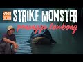 Strike Monster Penunggu Lombong.
