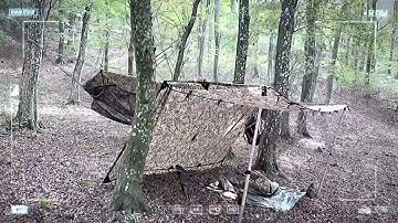 Hammocking in the forest - DD Hammocks multicam Nest hammock, DD tarp pro 3x3 multicam