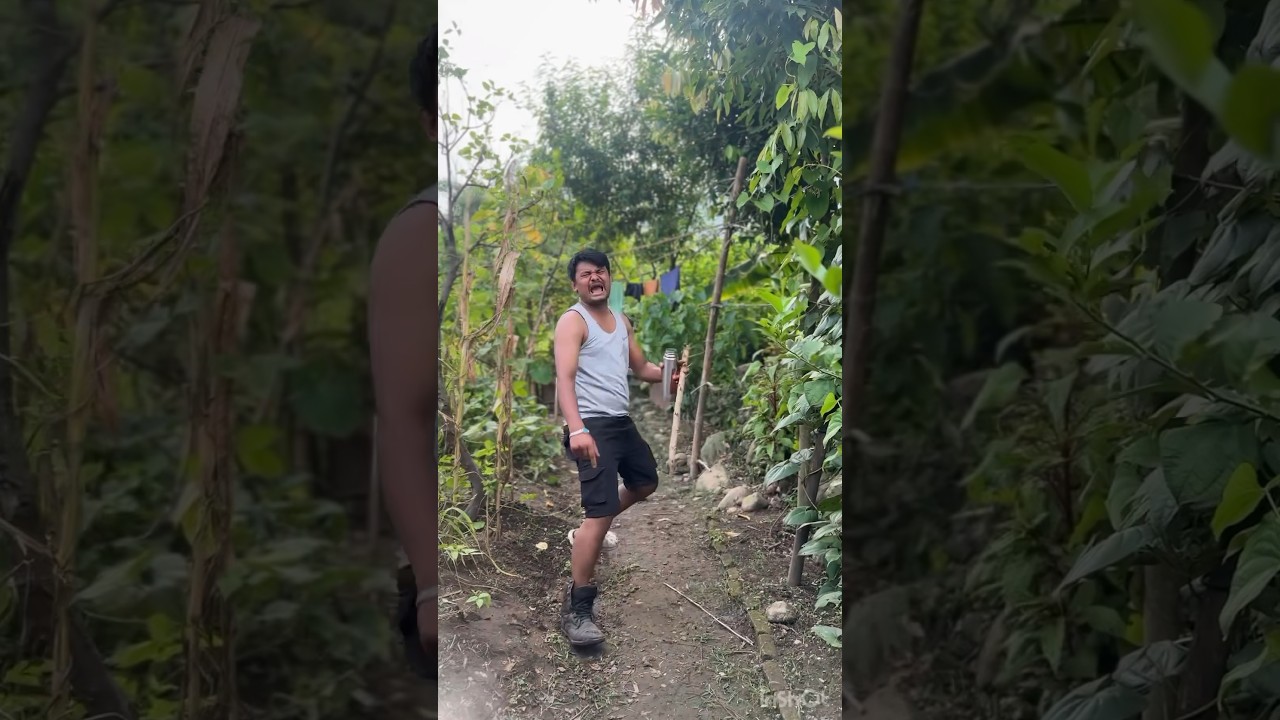 Bangladesh hasina and Nepali politics Funny parodi song 😛