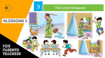 The Loyal Mongoose | Lesson 3 | English | AP DSC 2024 Textbooks