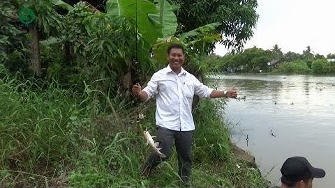 Câu cá sông lớn dưới mưa, thú vị và giật liên tục - Fishing under the rain | Sắc Màu VN