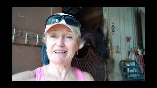 Combining the Harness Racing Quickhitch and the Carriage Driving Hitch