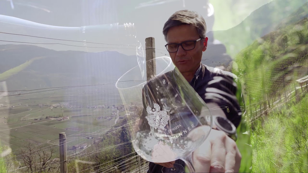 Christof Tiefenbrunner, Pinot Blanc Tiefenbrunner