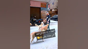 فيهم حاجه بتشدني ليهم اللي يعرف يقلي كلاب النظافه اكسبلور اهميه قطط تيك توك دويتو المراه 