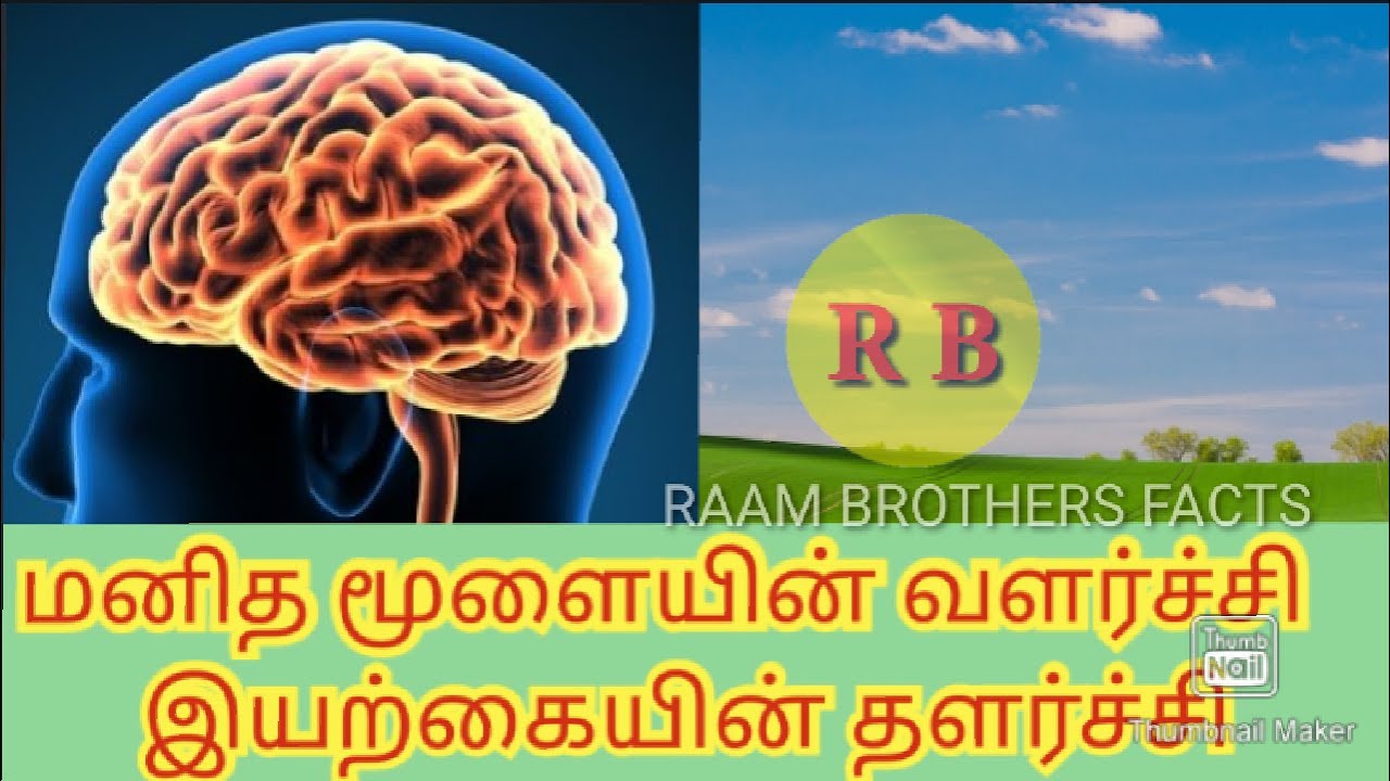 About human - YouTube