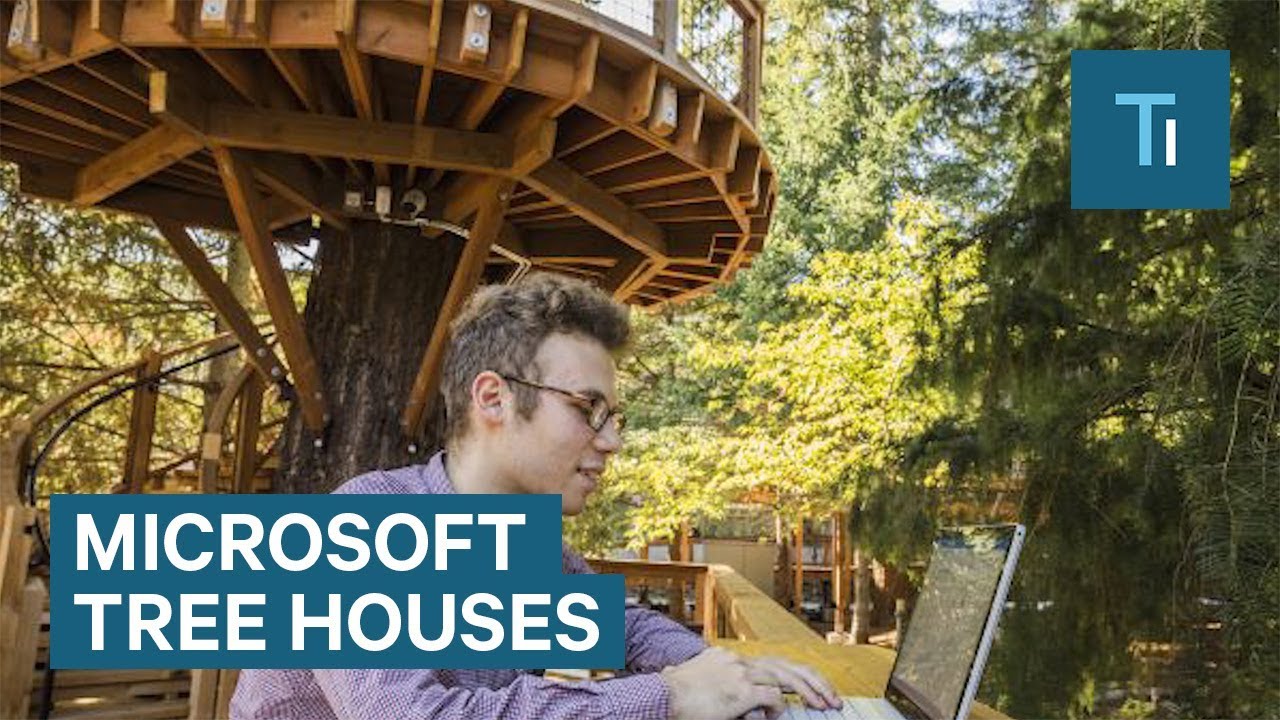 Microsoft's new tree houses are office spaces in the woods - YouTube