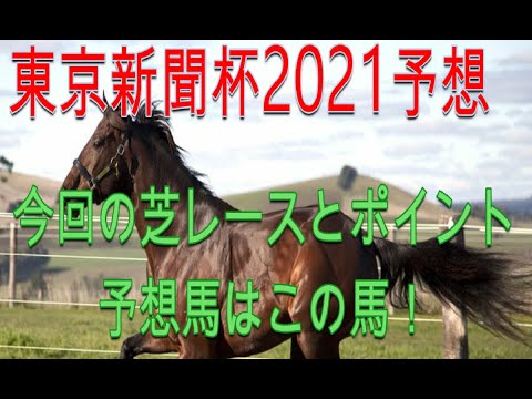 【東京新聞杯 予想 2021】今年は傾向を考えれば大穴も？東京競馬の狙うポイントはこれ！【競馬 予想】