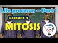 Mitosis  life processes in living organisms part 1 class 10 ssc cbse