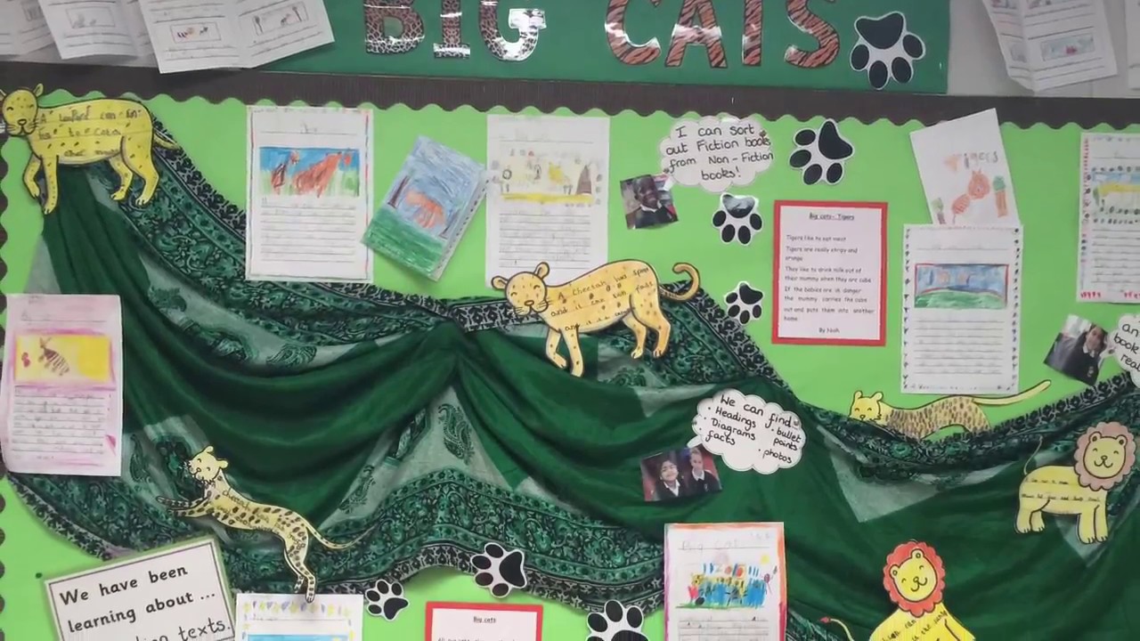 What wonderful displays!